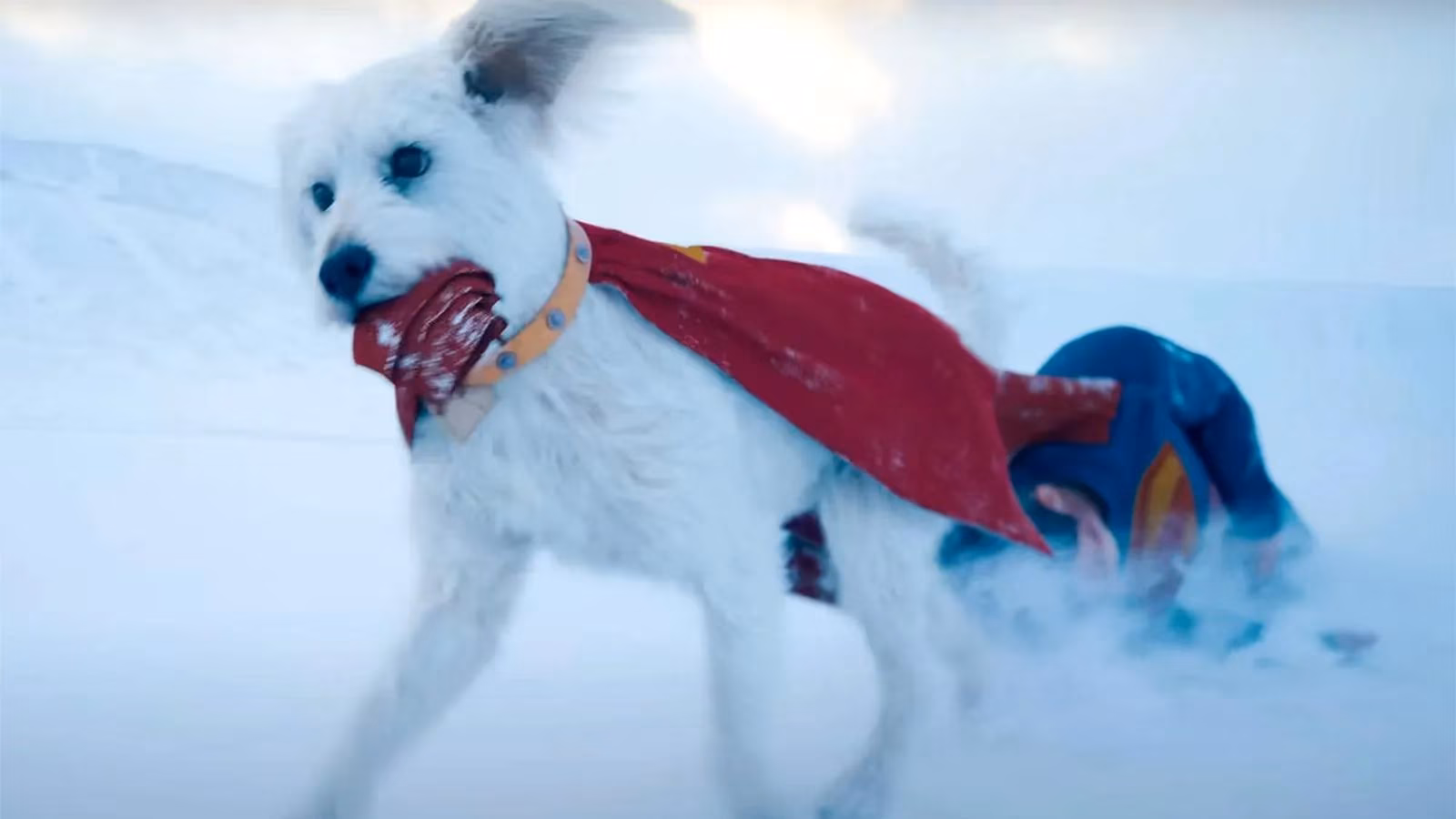 krypto-s-redemption-how-supergirl-s-super-dog-transforms-from-menace-to-heroic-companion-image-0